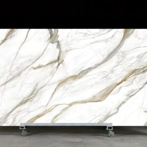 ys3d 010 royal salute
